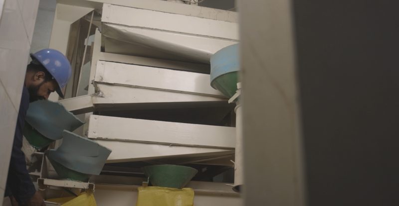 Seed processing facility