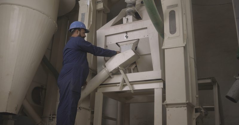 Cleaning and grading line
