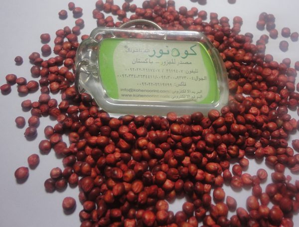 Sudan Grass & Hybrids
